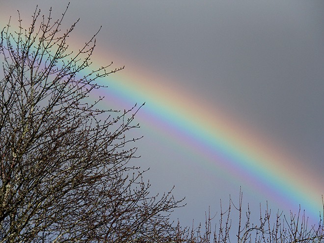 7RAinbow1