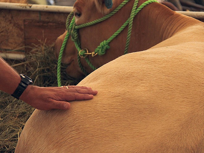 FAir7