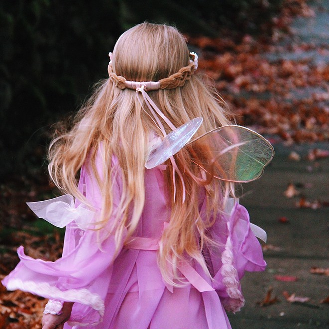 Wings1