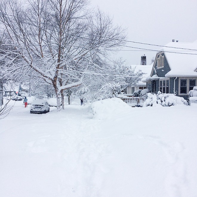 ISnowy1
