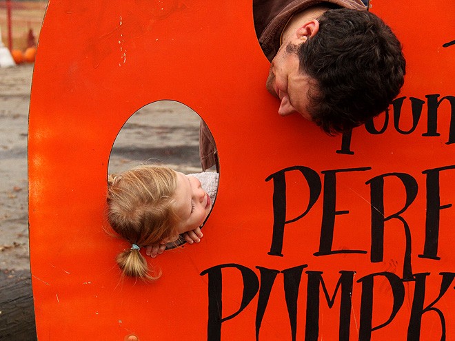 12Pumpkins5