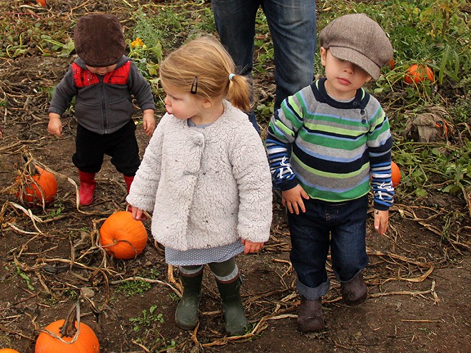 12Pumpkins17