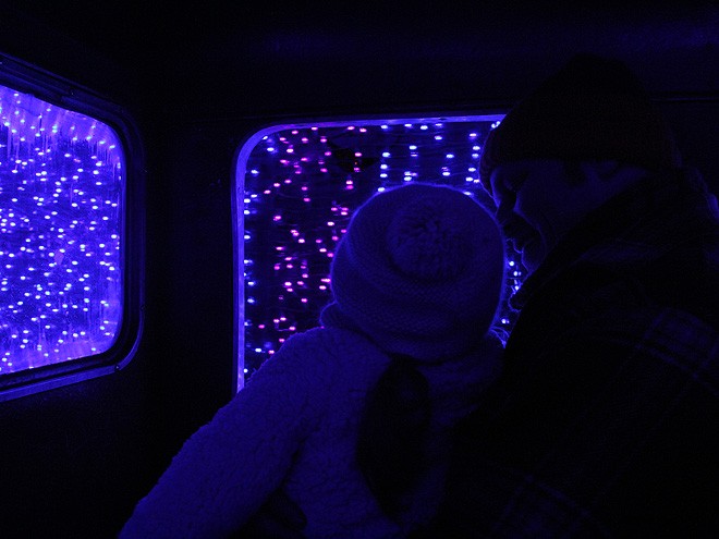 2Zoolights2