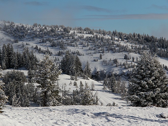 11Snow9