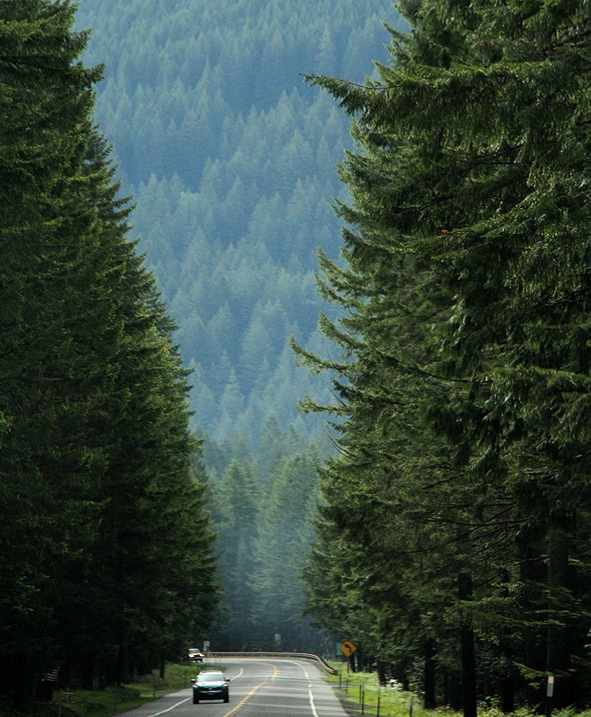 31Mountain5