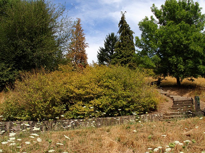 11Park3 11Park3