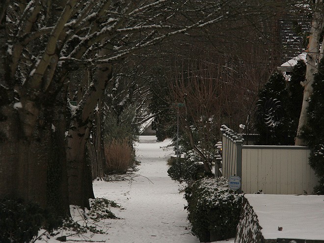 3SnowDay35 3SnowDay35