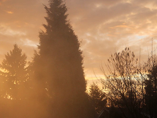 5Morning4