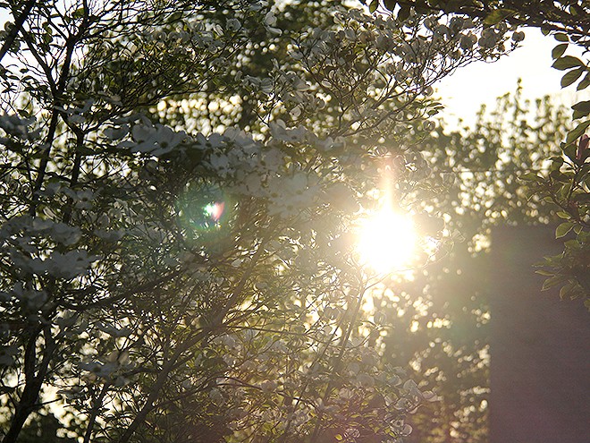 17Morning2