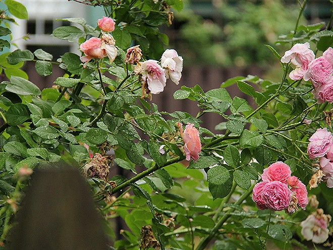 2Morning7