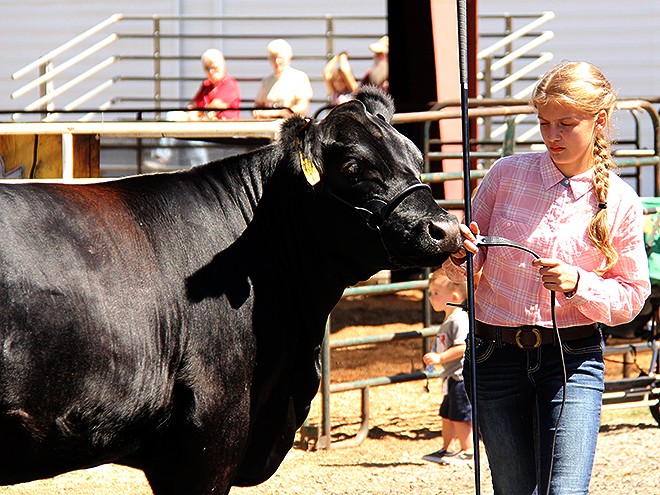 Fair14