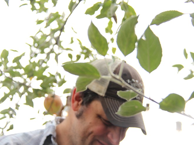 1Apples2