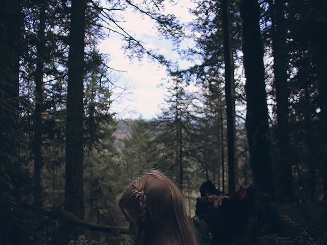 6Forest3
