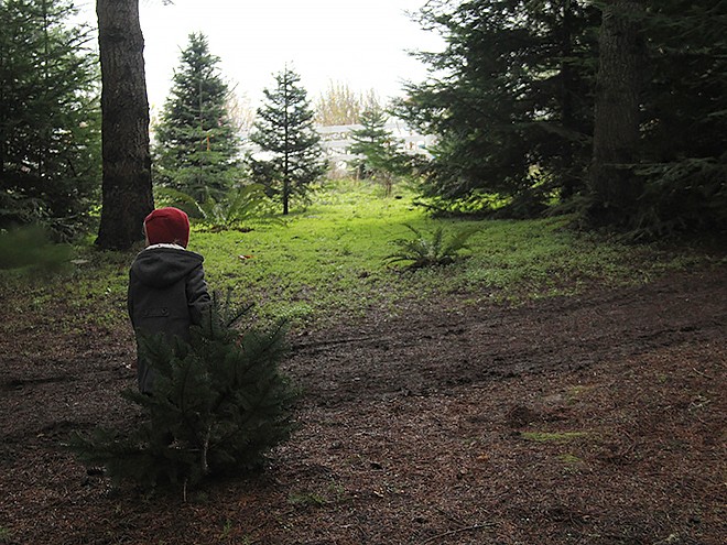2Tree20