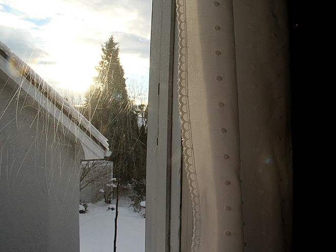 15MimiBunny1