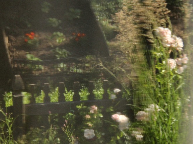 22Garden2