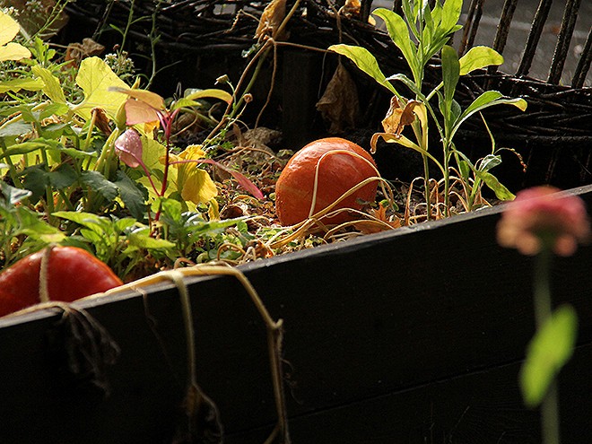 19GArden7