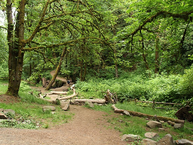 29Creek11