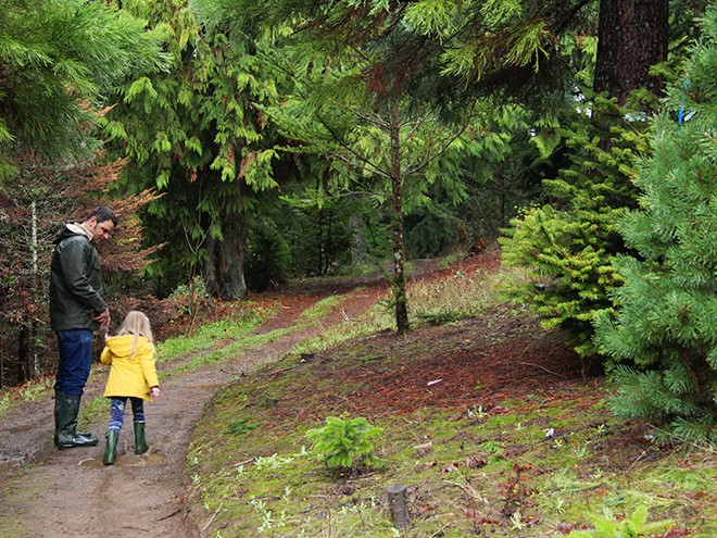 1TreeFarm8