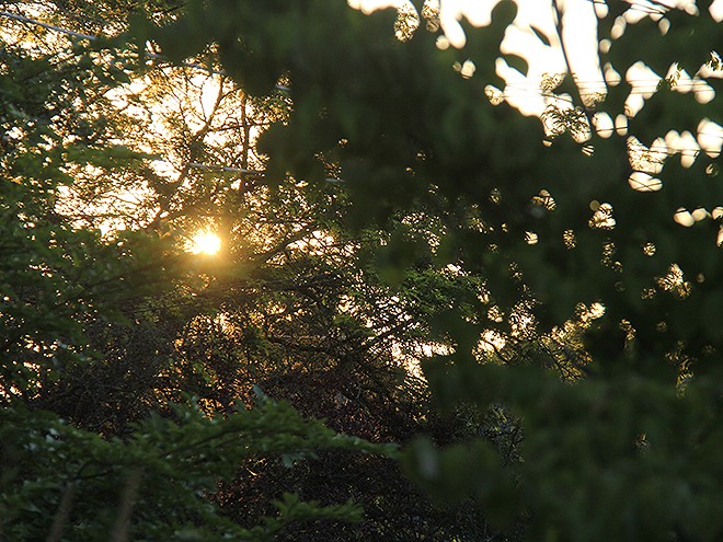 23Morning1