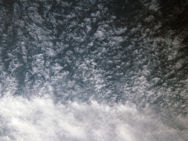 29Sky1