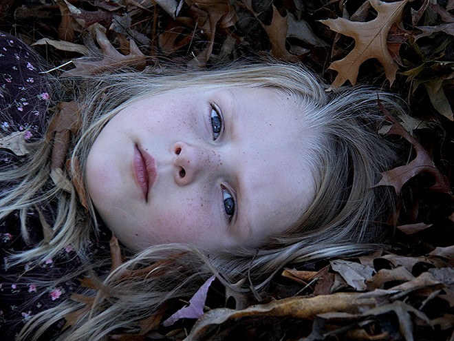 12Leaves3