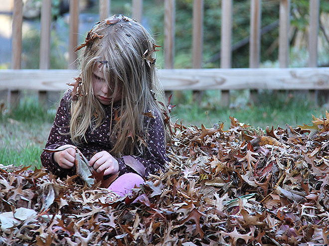 12Leaves3