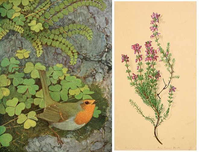 Panel4 Panel4