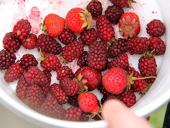 26IpadBerries1