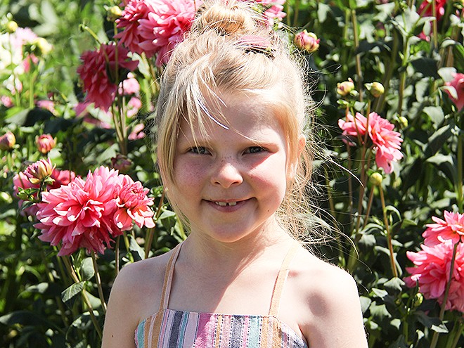 24Dahlia1