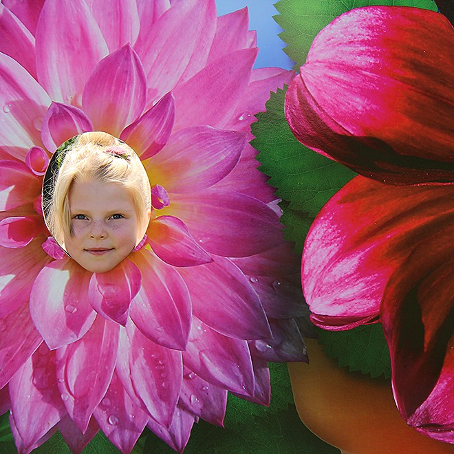 24Dahlia5