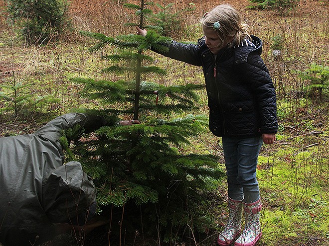 7Trees14 7Trees14