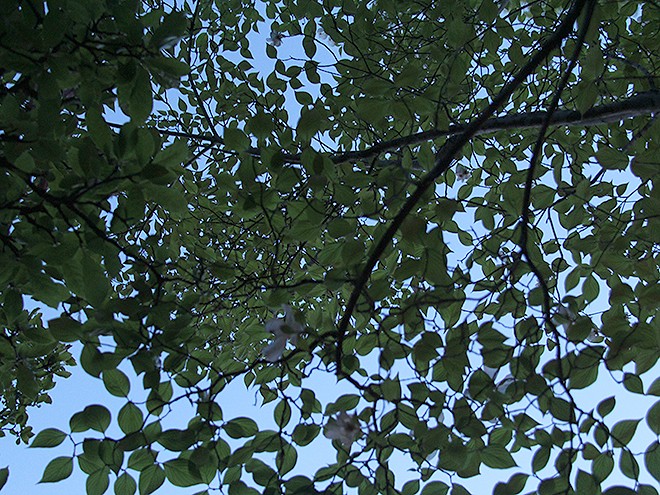 5Evening2 5Evening2