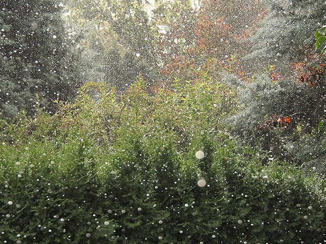 16Rain1
