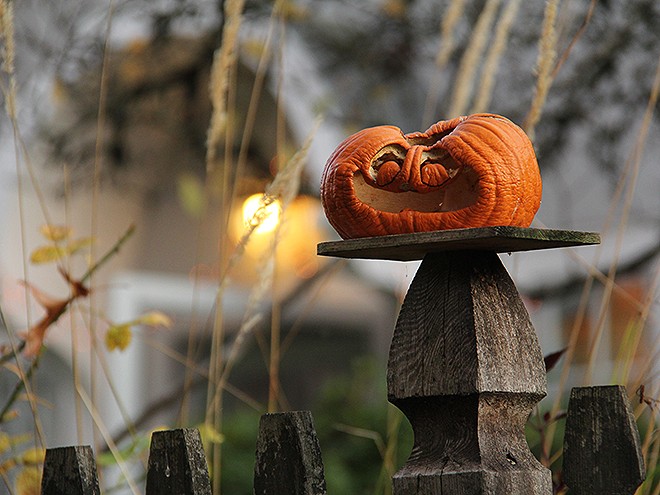 Halloween7