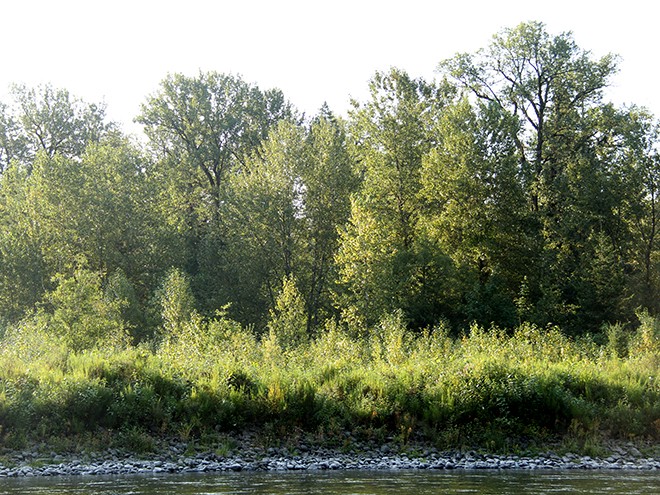 31River5