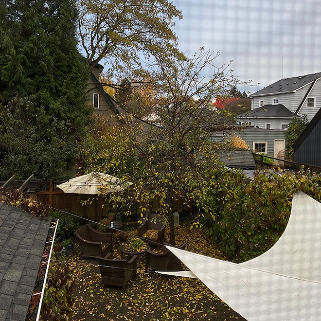 Yard Yard