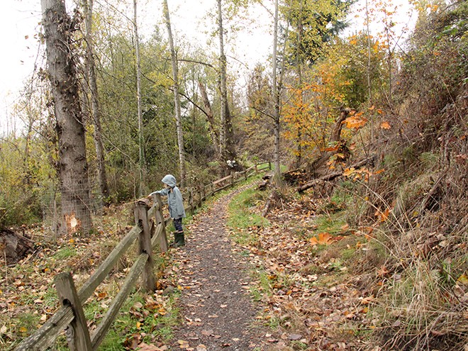 Woods7