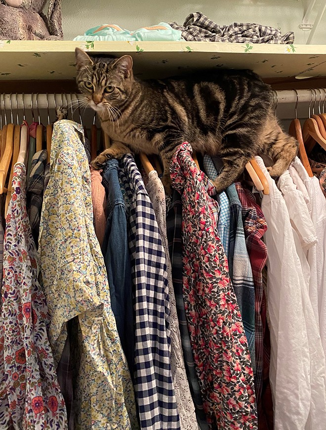 CatCloset1