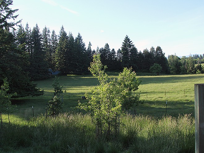 Farm34