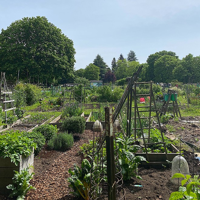 31Garden1