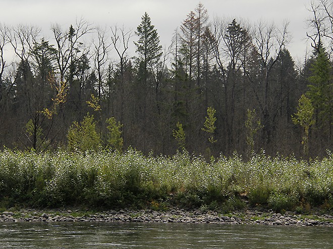 River36