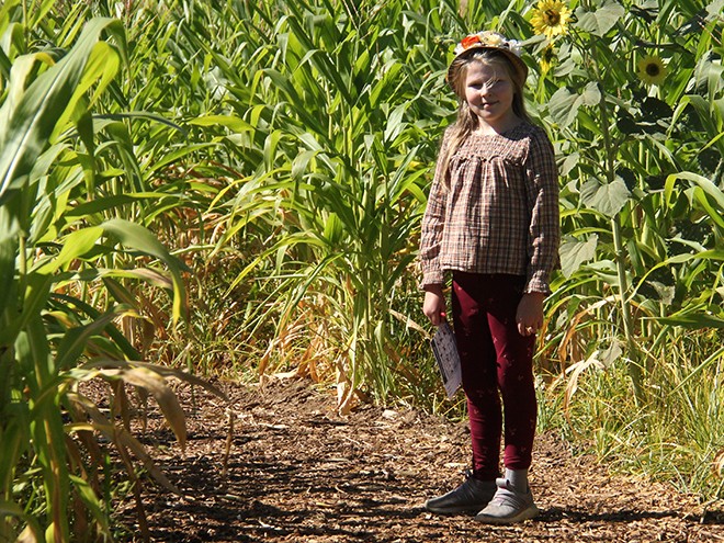 FArm9 FArm9