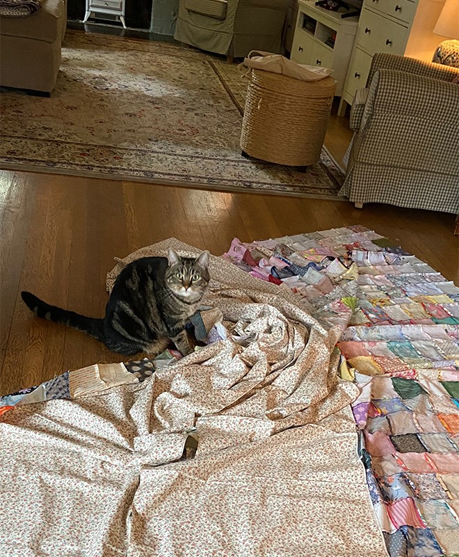 AndyQuilt10