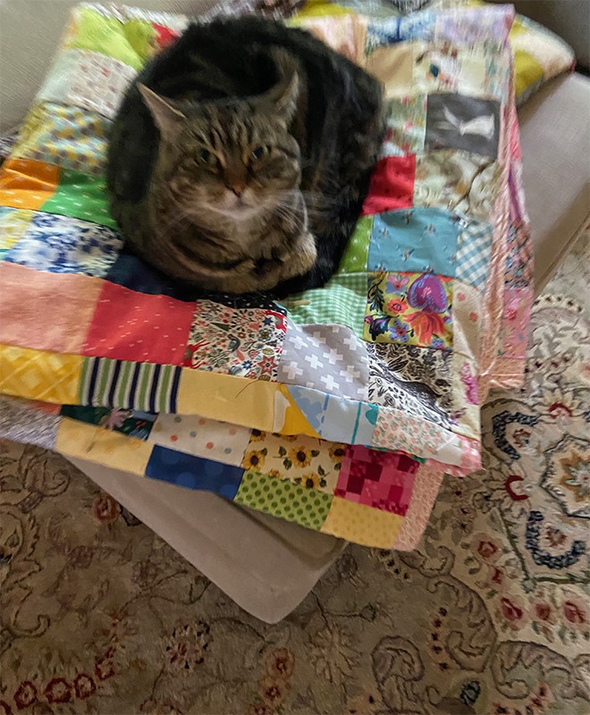 AndyQuilt11