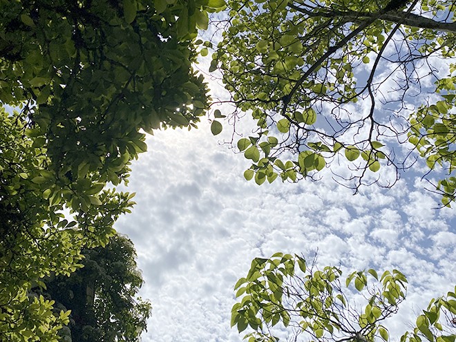 Sky1