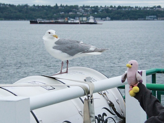 Seattle36